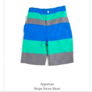 Appaman Boys Stripe Swim Short
